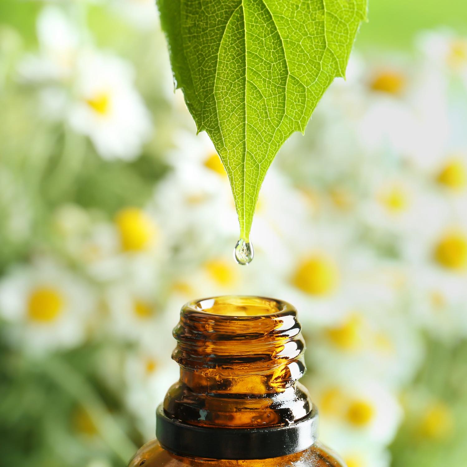 Aromatherapie-pharmacie-elliant Aromatherapie-pharmacie-elliant